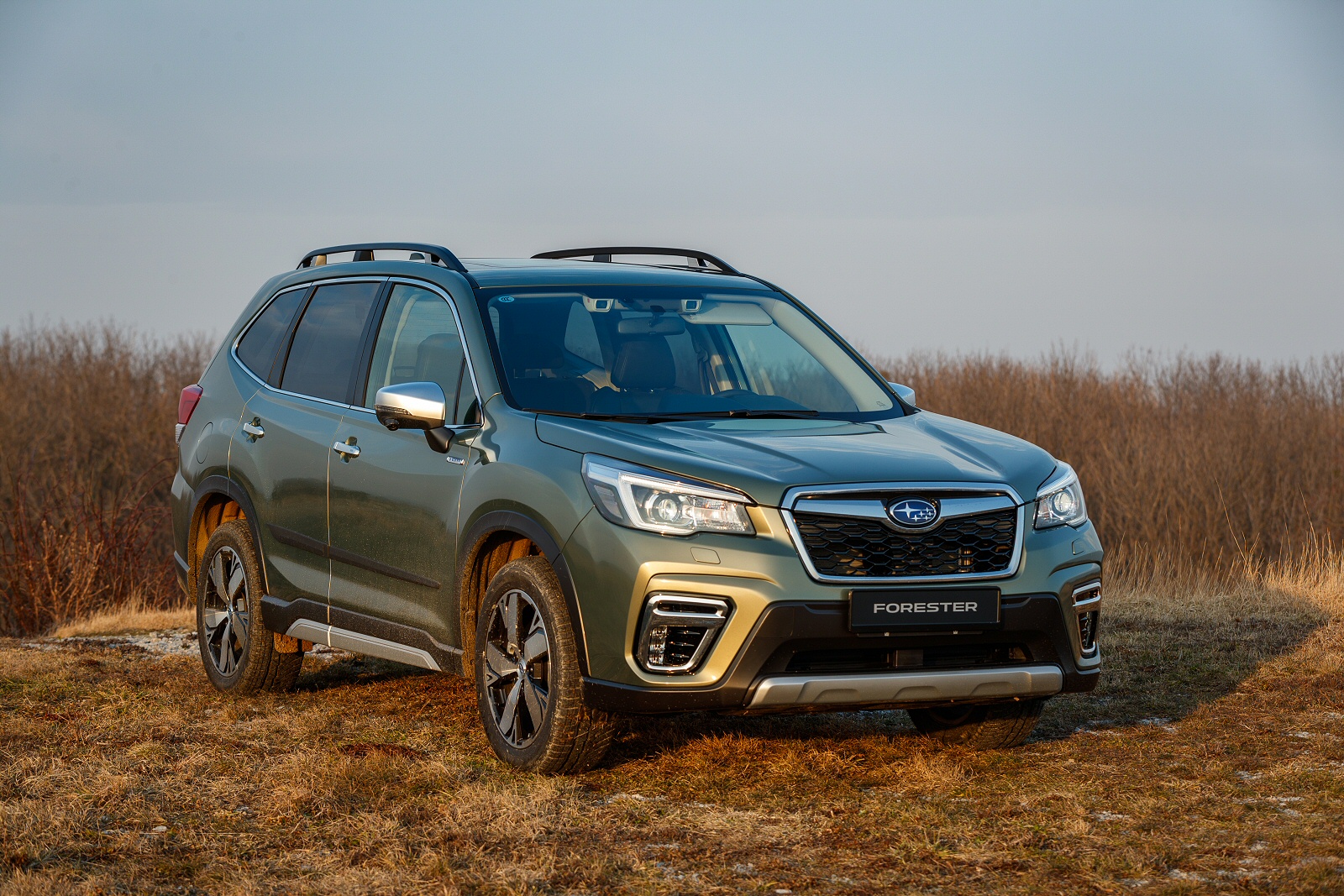 SUBARU FORESTER ESTATE 2.0i eBoxer XE 5dr Lineartronic